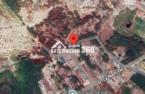 ĐẤT VÀNG LA GI – 2,21HA – PHÁT TRIỂN DU LỊCH 